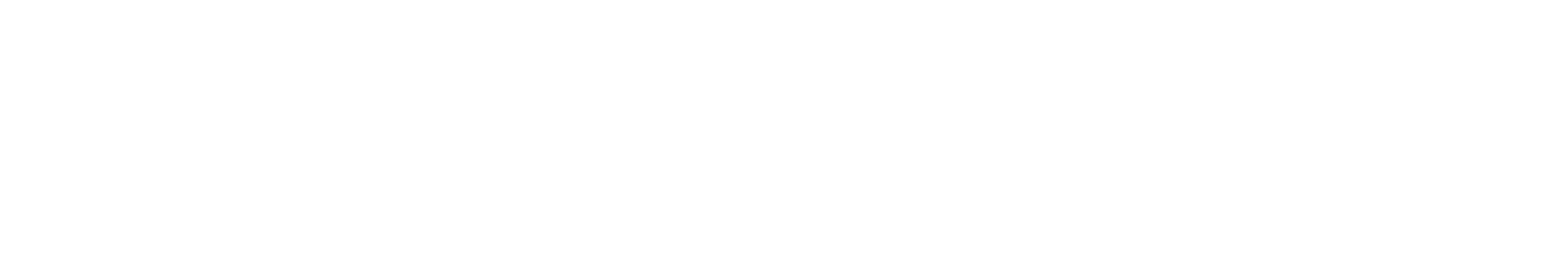 logo-horizontal-branco